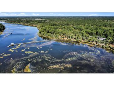 Aerial view of waterfront property with private pier at 4239 Tom Point Rd, Hollywood, SC 29449