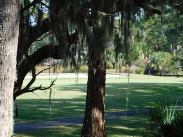 Partial view of golf course through trees at 265 Sea Cloud Cir, Edisto Island, SC 29438