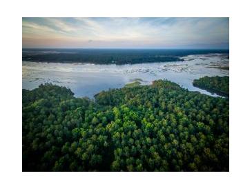 Aerial view of a vast green landscape with a river at 3885 Summerton St, Mount Pleasant, SC 29466
