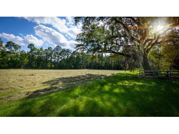 Scenic hay field with lush grass and a large oak tree at 0 Tuten Road, Round O, SC 29474