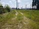 Overgrown vacant lot with visible tire tracks and powerlines at 114 Berkeley Cir, Summerville, SC 29483