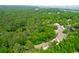 Aerial view of a lush, wooded property with ponds and a cleared area at 714 Wilson Cemetery Rd, Awendaw, SC 29429