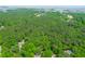 Aerial view of wooded property near the water at 714 Wilson Cemetery Rd, Awendaw, SC 29429