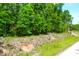 Partially cleared lot next to a dirt road at 714 Wilson Cemetery Rd, Awendaw, SC 29429