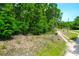 View of a partially cleared lot and a dirt road at 714 Wilson Cemetery Rd, Awendaw, SC 29429