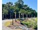 Landscaped street entrance with palm trees and signage at 1075 Capersview Ct, Awendaw, SC 29429