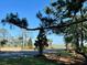 Landscaped street leading to a marsh view at 1075 Capersview Ct, Awendaw, SC 29429