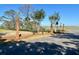 Landscaped street with palm trees and marsh view at 1075 Capersview Ct, Awendaw, SC 29429