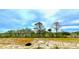 Spacious backyard with marsh views and mature trees at 1075 Capersview Ct, Awendaw, SC 29429