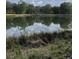 Scenic pond reflecting the sky and surrounding trees at 2165 Blue Bayou Blvd, Johns Island, SC 29455