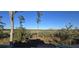View of marsh from deck; future home under construction at 117 Silverbell Ln, Hollywood, SC 29470