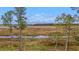 Serene marsh landscape with tall grasses, water, and lush trees at 117 Silverbell Ln, Hollywood, SC 29470