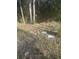 Vacant lot with some debris; needs clearing at 220 N Highway 52, Moncks Corner, SC 29461