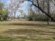 Spacious backyard with mature trees and lush grass at 757 Backfield Rd, Walterboro, SC 29488