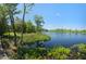 Scenic waterfront view with a wooden dock and vibrant natural surroundings at 757 Backfield Rd, Walterboro, SC 29488