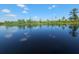 Serene waterfront with reflecting trees and clear skies at 757 Backfield Rd, Walterboro, SC 29488