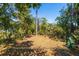 Peaceful trail through coastal foliage and vegetation at 8871 Palmetto Rd # 33 Ac Private Island, Edisto Beach, SC 29438