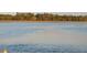 Calm water view, 2 min to Oyster Bay at 8871 Palmetto Rd # 33 Ac Private Island, Edisto Beach, SC 29438