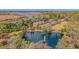 Aerial view of houses near a pond with fountain at 5565 Colonial Chatsworth Cir, North Charleston, SC 29418