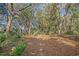 Peaceful wooded area with natural foliage at 5565 Colonial Chatsworth Cir, North Charleston, SC 29418