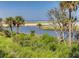 Oceanfront view with lush greenery and palm trees at 403 Pelican Flight Dr, Dewees Island, SC 29451