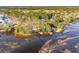 Aerial view of waterfront homes and private docks at 3850 Delinger Dr, Mount Pleasant, SC 29466