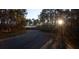Paved road winding through a lush, wooded area, sun shining through trees at 1473 Jeremy Cay Ct, Awendaw, SC 29429
