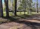 Landscaped yard with mature trees and a glimpse of the house at 138 Waddell Ln, Ridgeville, SC 29472