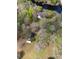 Aerial view of property showing main house, guest house, and expansive lot at 138 Waddell Ln, Ridgeville, SC 29472