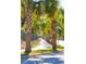 Palm trees lining a sidewalk at 1647 Cultivation Ln # 451, Mount Pleasant, SC 29466