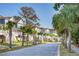 New homes and palm trees line a paved road in a sunny neighborhood at 1635 Cultivation Lane St # 448, Mount Pleasant, SC 29466