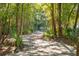 Peaceful nature trail winding through a lush wooded area at 1635 Cultivation Lane St # 448, Mount Pleasant, SC 29466