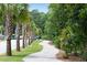 Landscaped walkway lined with palm trees at 1698 Cultivation Ln # 541, Mount Pleasant, SC 29466