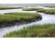 Peaceful marsh scenery with lush grasses and tidal creeks at 3820 Gardenhill Rd, Mount Pleasant, SC 29429