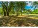 Shady backyard with large trees, providing a tranquil atmosphere at 3820 Gardenhill Rd, Mount Pleasant, SC 29429
