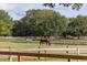 Two horses grazing in a lush green paddock at 1720 Live Oak Park, Seabrook Island, SC 29455