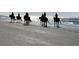 Horseback riding on the beach at sunset at 1720 Live Oak Park, Seabrook Island, SC 29455