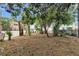 Partially cleared backyard with overgrown trees and plants at 66 Cooper St, Charleston, SC 29403