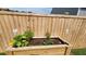 Raised garden bed with various plants at 4383 Ocean Farm Dr, Summerville, SC 29485