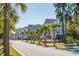 Beautiful street with houses, palm trees, and lush landscaping at 1659 Cultivation Ln # 454, Mount Pleasant, SC 29466