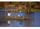 Two people enjoy fishing in a calm lake at 710 Maynard Ln, Summerville, SC 29486