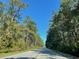 Long road lined with lush green trees on either side at 517 Rendezvous Way, Huger, SC 29450
