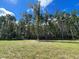 Wooded homesite with cleared area, ready for new construction at 517 Rendezvous Way, Huger, SC 29450