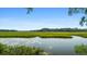 Serene waterfront view with marsh grasses and calm waters at 8541 Oyster Factory Rd, Edisto Island, SC 29438