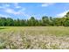 Vacant lot with cleared area and treeline at 1144 Old Mill Rd, Saint Stephen, SC 29479