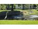 Great egret by a community pond with a fountain at 2317 Tall Sail Dr # 1007 G, Charleston, SC 29414