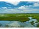 Tranquil marsh view showcasing serene waterways and abundant greenery at 242 Little Oak Dr, Folly Beach, SC 29439