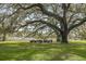 Large oak tree with seating area for gatherings at 3025 Southerly Way, Johns Island, SC 29455