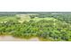 Aerial view of lush landscape and lake at 3025 Southerly Way, Johns Island, SC 29455