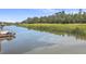 Serene waterfront view with calm water, marsh grass, and lush trees at 1374 Black River Dr, Mount Pleasant, SC 29466